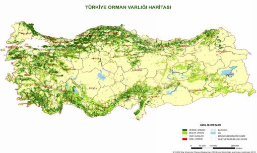  Türkiye Orman Varlığı Haritası